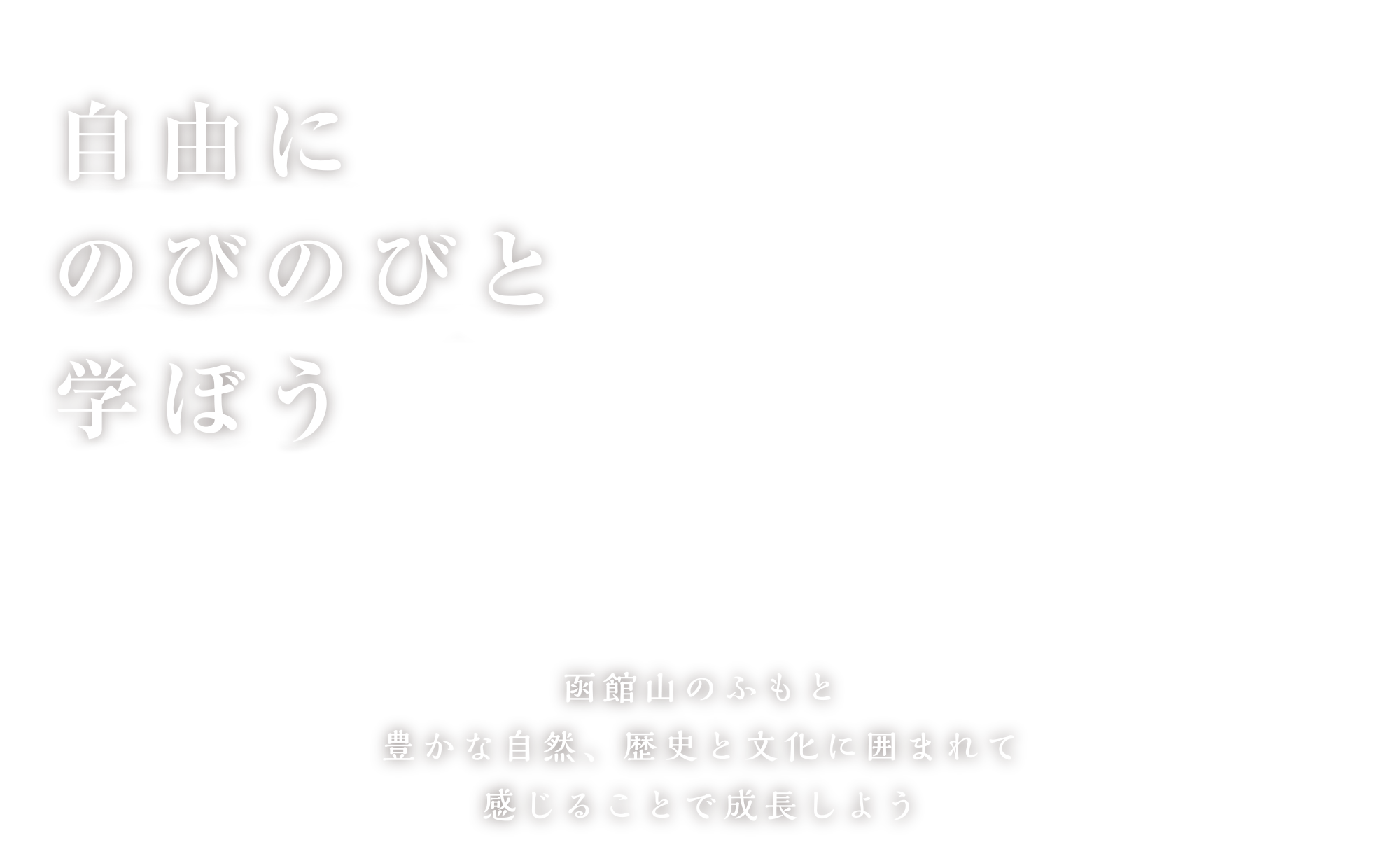 自由にのびのび学ぼう
